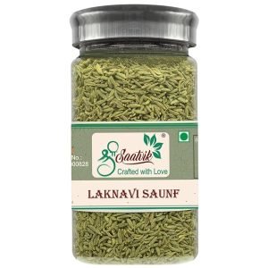 SHREE SAATVIK LAKNAVI SAUNF