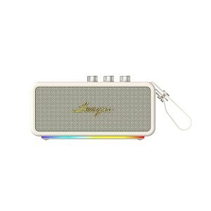 LENYES S876 90W Bluetooth Speaker